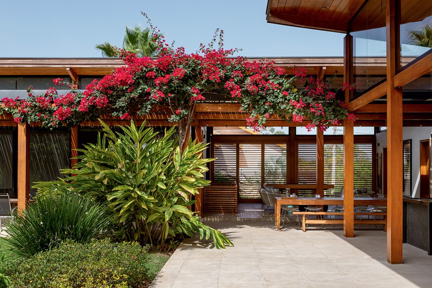 flores para pergolado em 2026