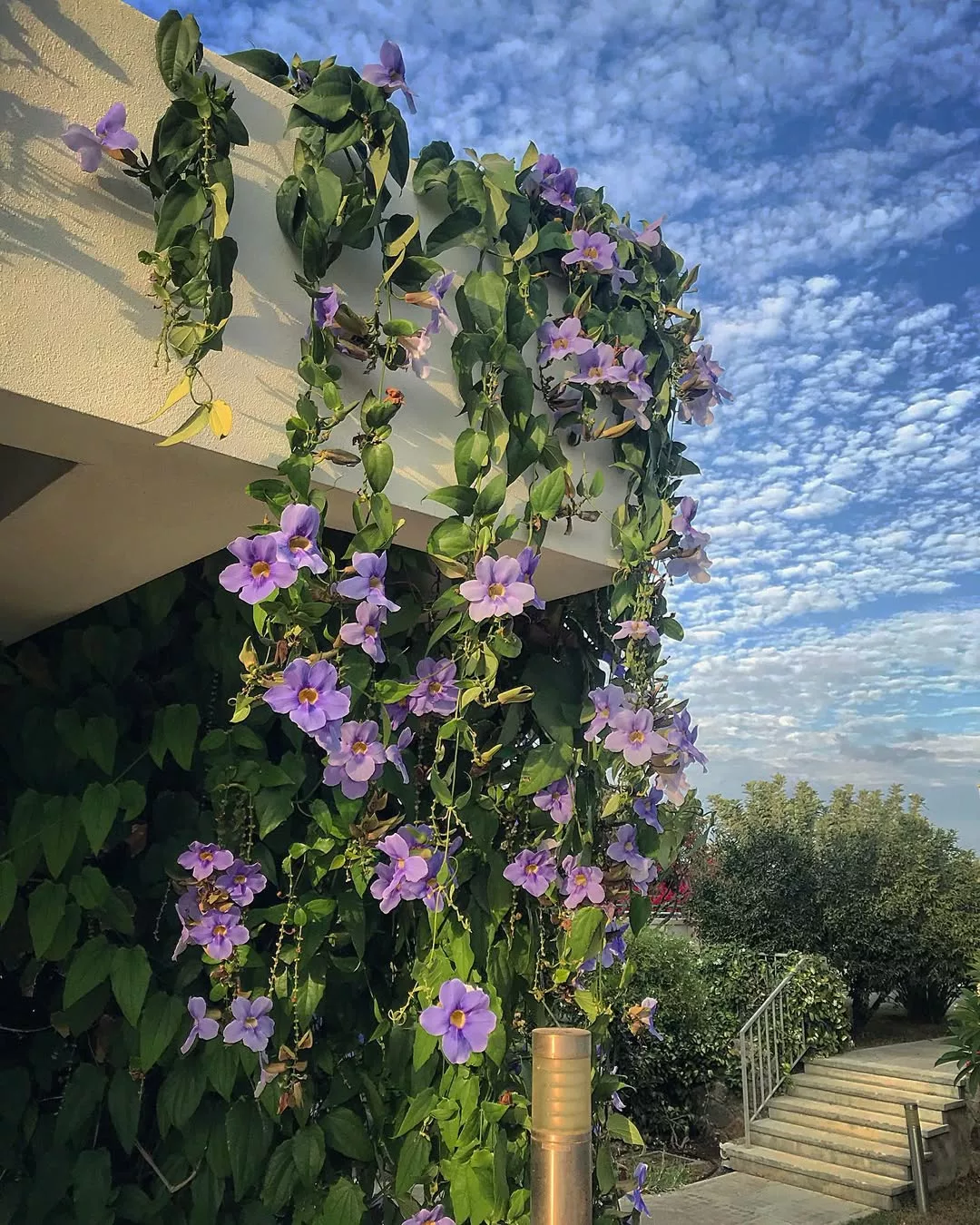 tendências pergolados primavera