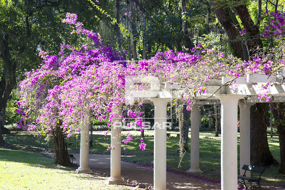 pergolado de primavera colorido