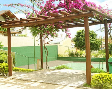 como plantar primavera em pergolado