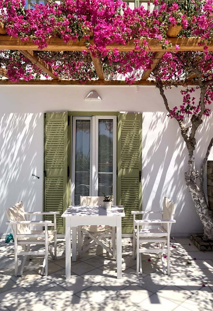 poda de primavera em pergolado