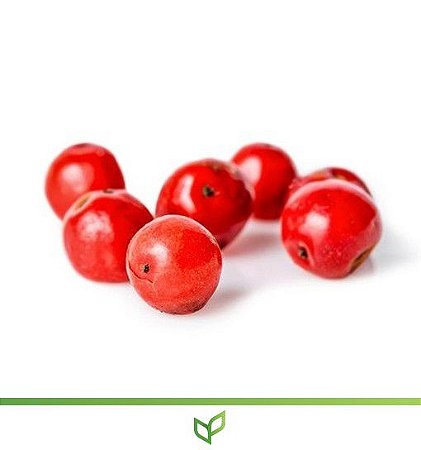 pimenta rosa benefícios saúde