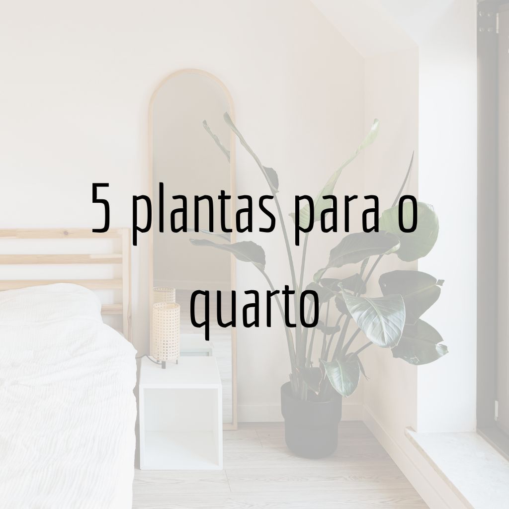 plantas que não prejudicam o sono