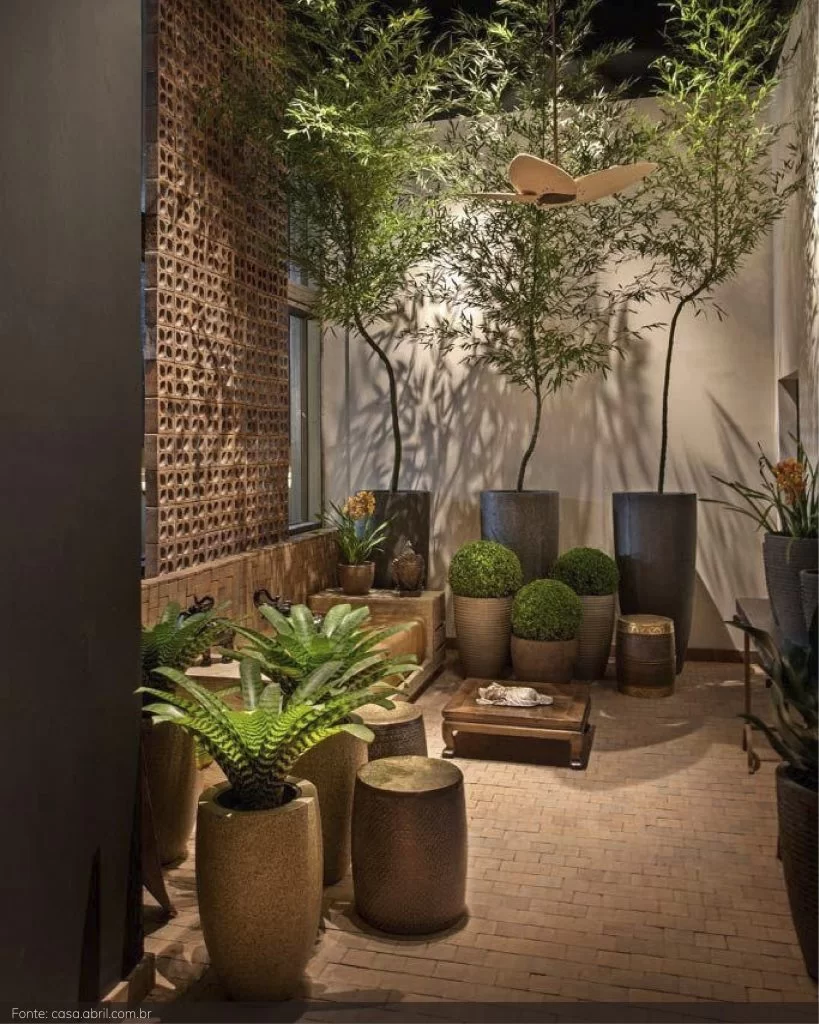 plantas para apartamento com pouca luz