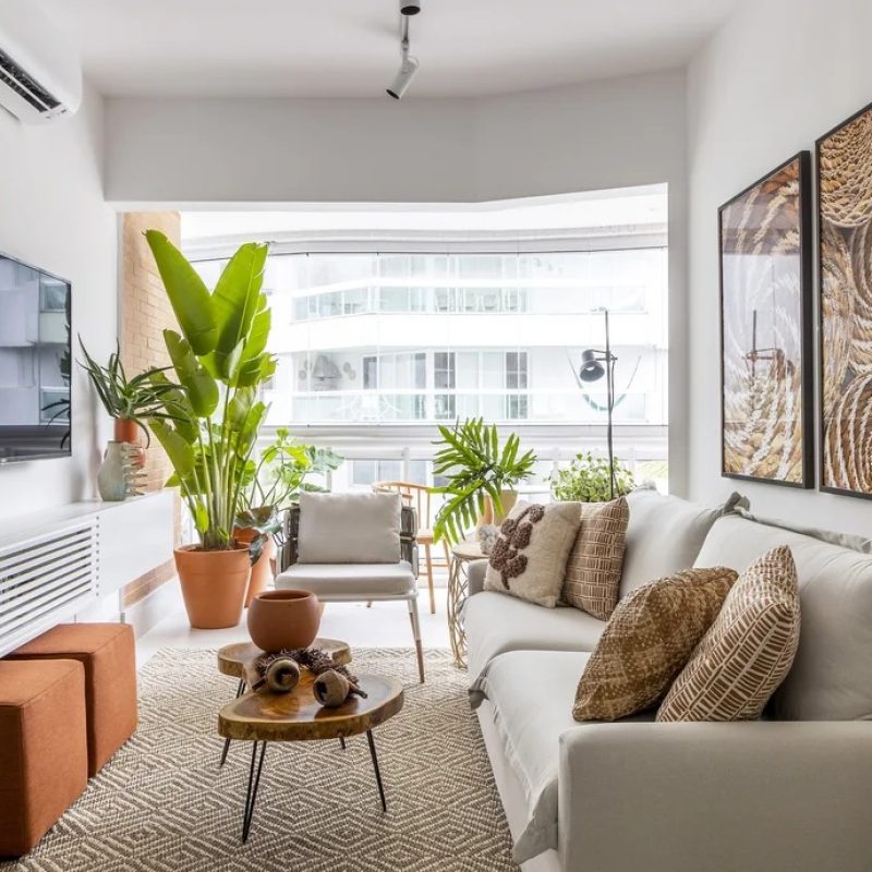 plantas para decorar sala pequena