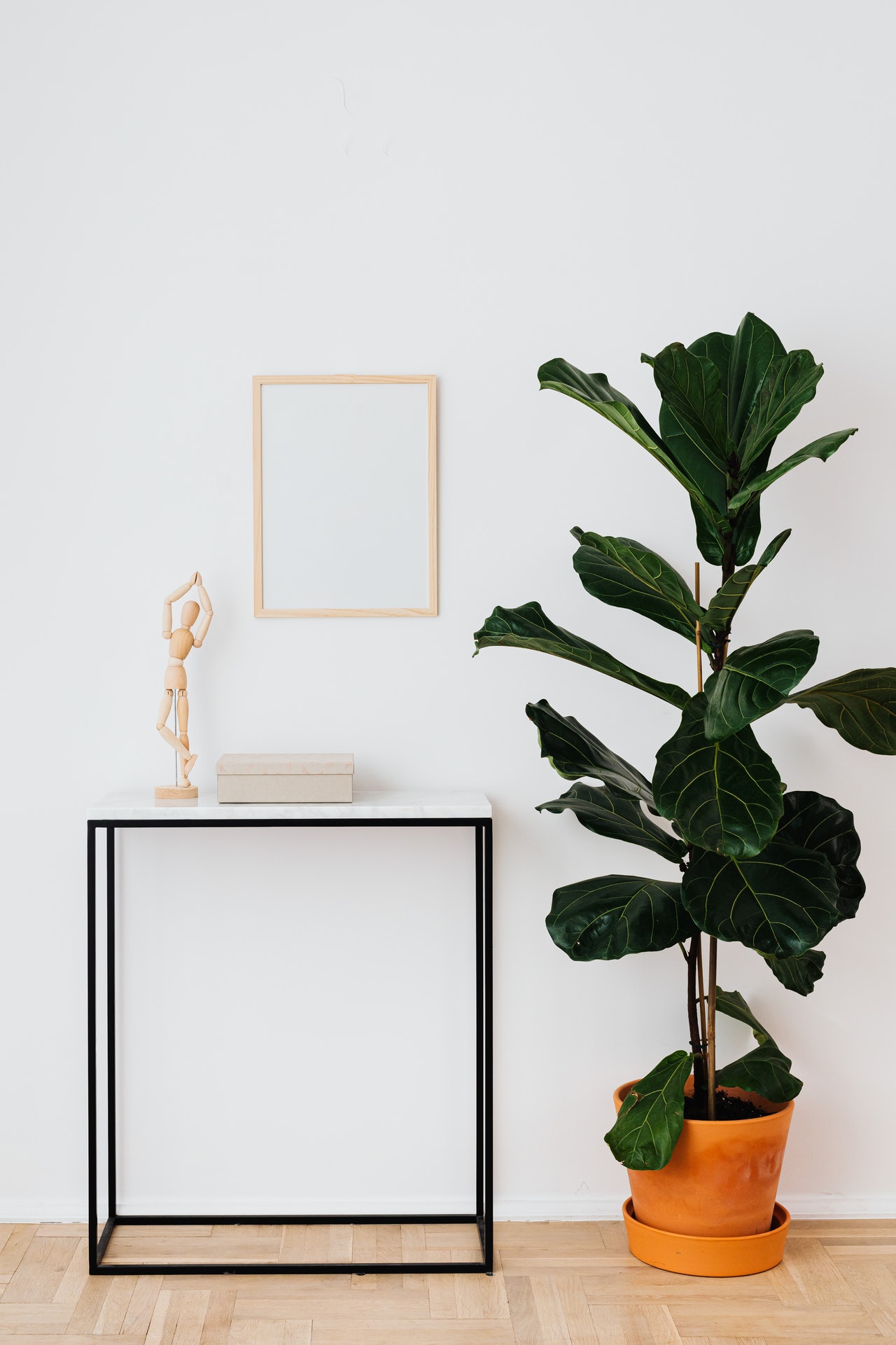 plantas pendentes para decoração de apartamento