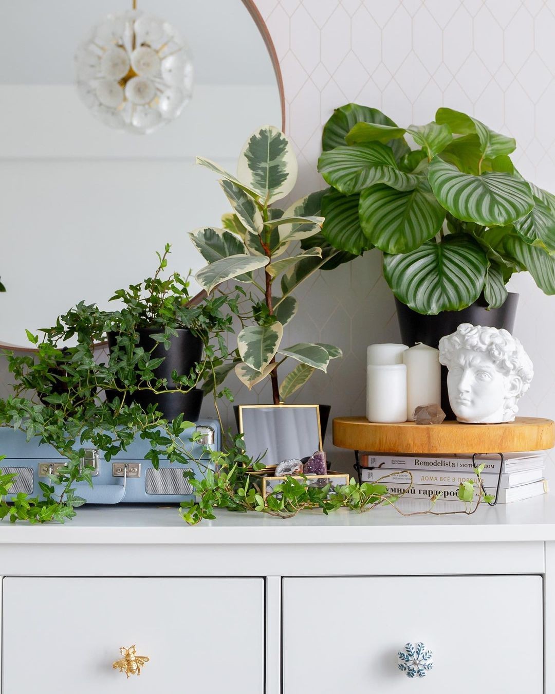 plantas para apartamento pequeno