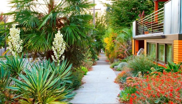 árvores para calçada com fiação elétrica