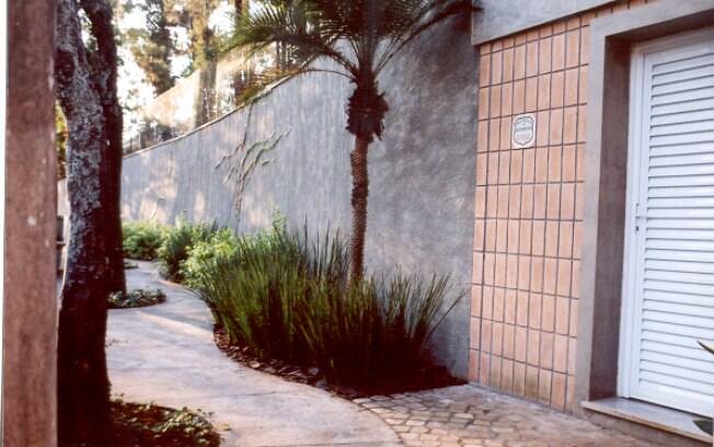 plantio em calçada com rede elétrica