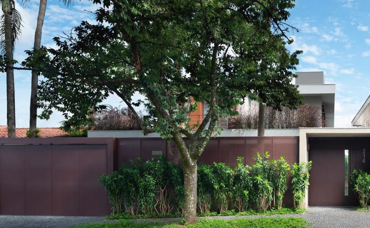 plantas que não quebram o piso da calçada