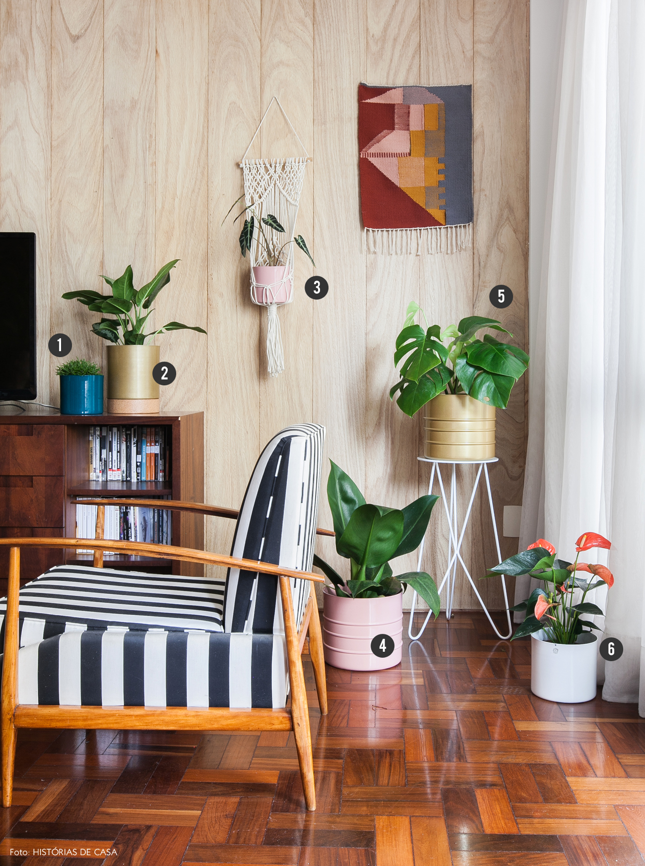 melhores plantas para decorar sala de estar