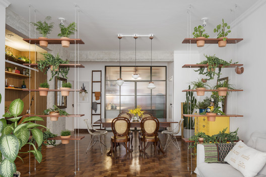 melhores plantas para decorar sala de estar