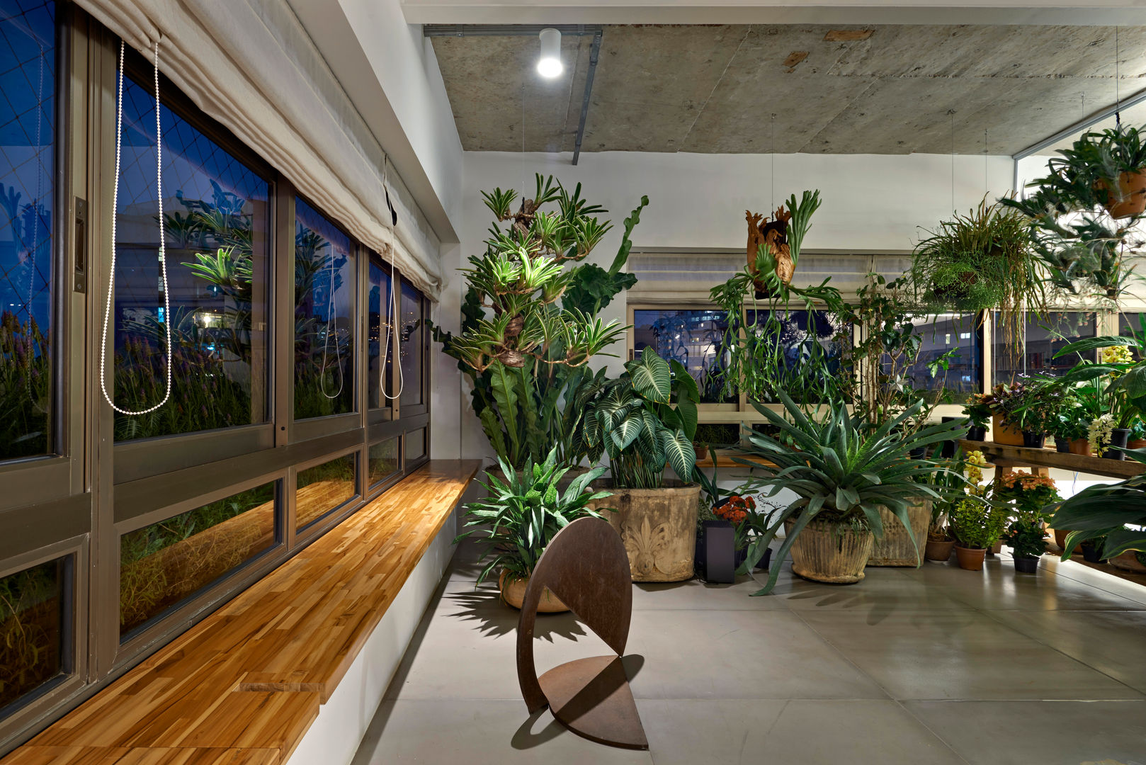 plantas que absorvem umidade