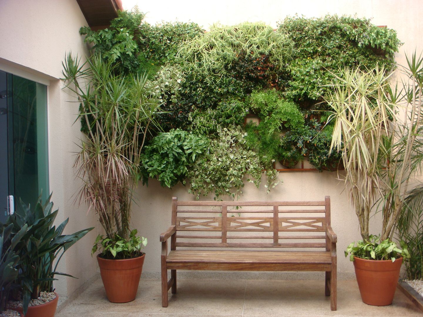 plantas verdes para muro