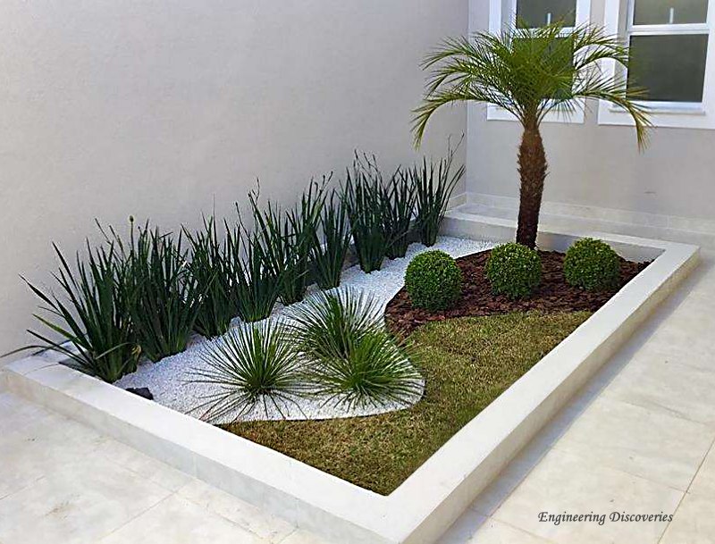 plantas para muro de tijolo