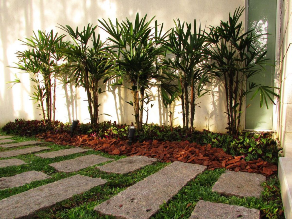 plantas para muro pintado