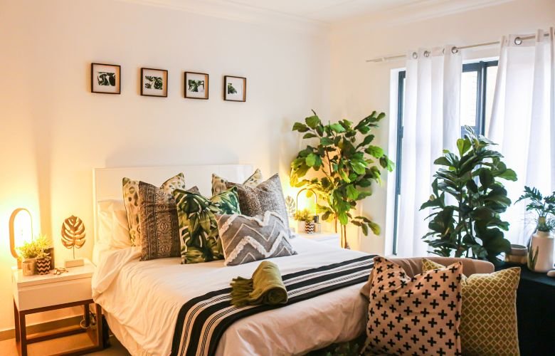 plantas para quarto com animais de estimação