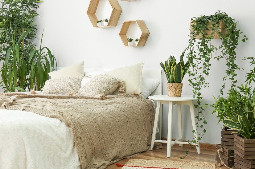 melhores plantas para quarto