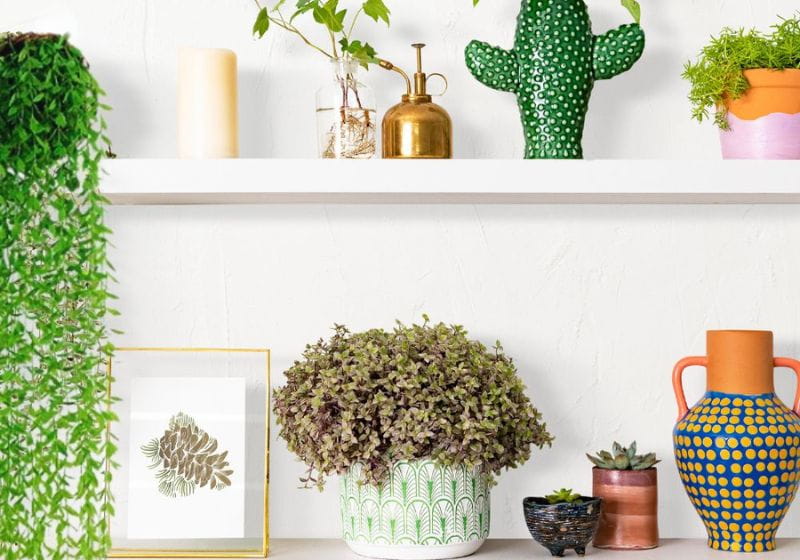 plantas artificiais realistas