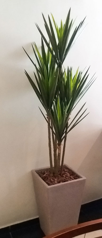 Plantas Artificiais vs. Naturais: Qual a Melhor Opção para o Seu Ambiente de Trabalho?