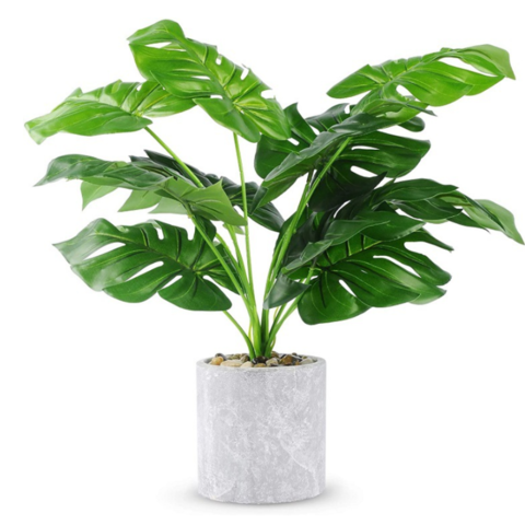 5 Dicas Essenciais para Manter Suas Plantas Artificiais Sempre Impecáveis