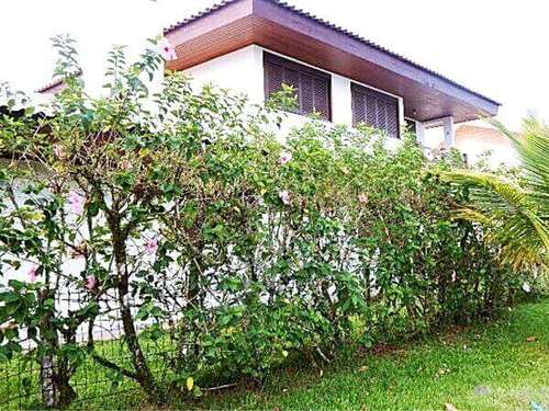 custo médio para instalar cerca viva por metro linear