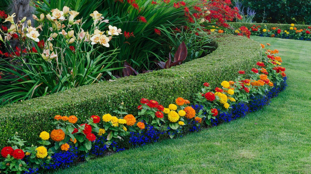 cerca viva com sansão do campo para segurança máxima