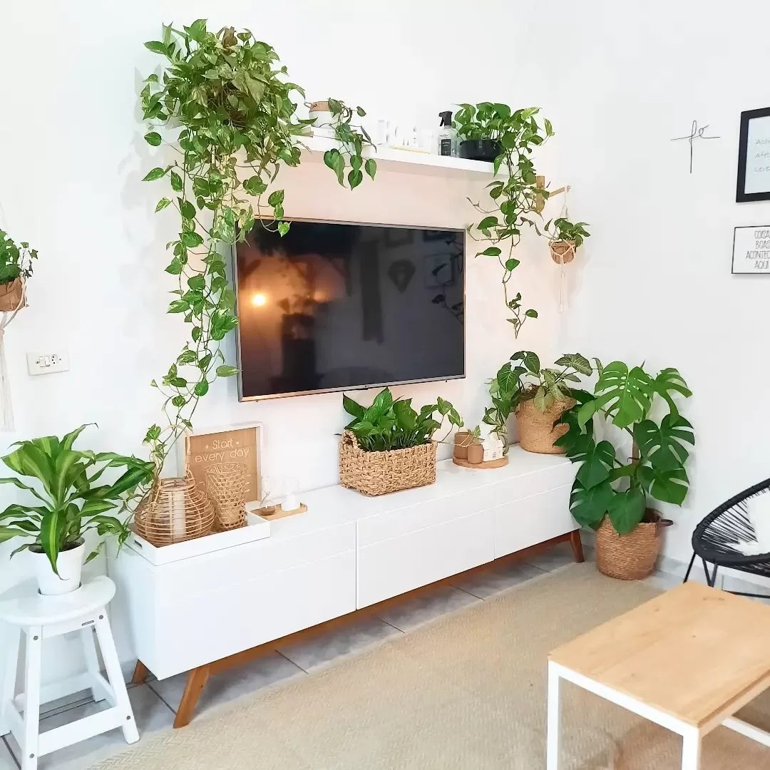 plantas artificiais vs plantas naturais para sala