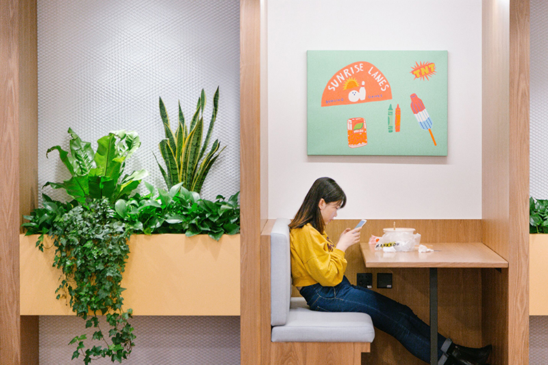 plantas que purificam o ar do escritório