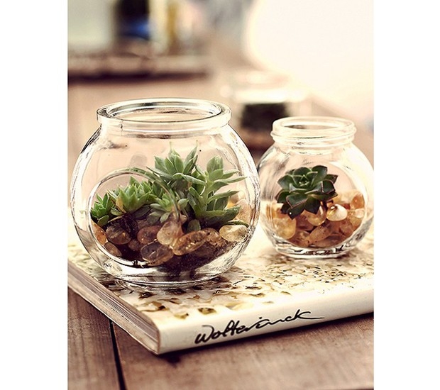 plantas fáceis de cuidar para escritório