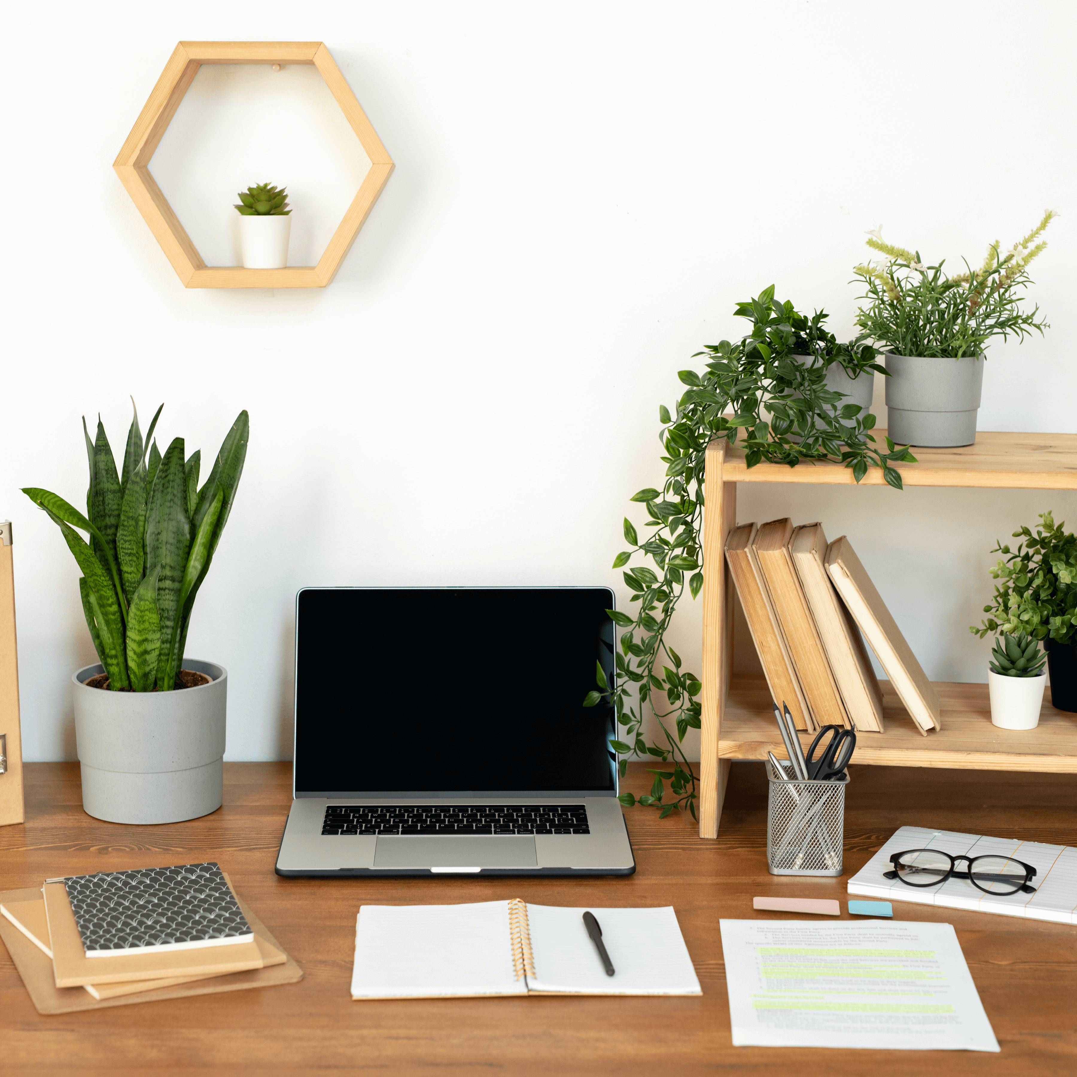 plantas de mesa para escritório