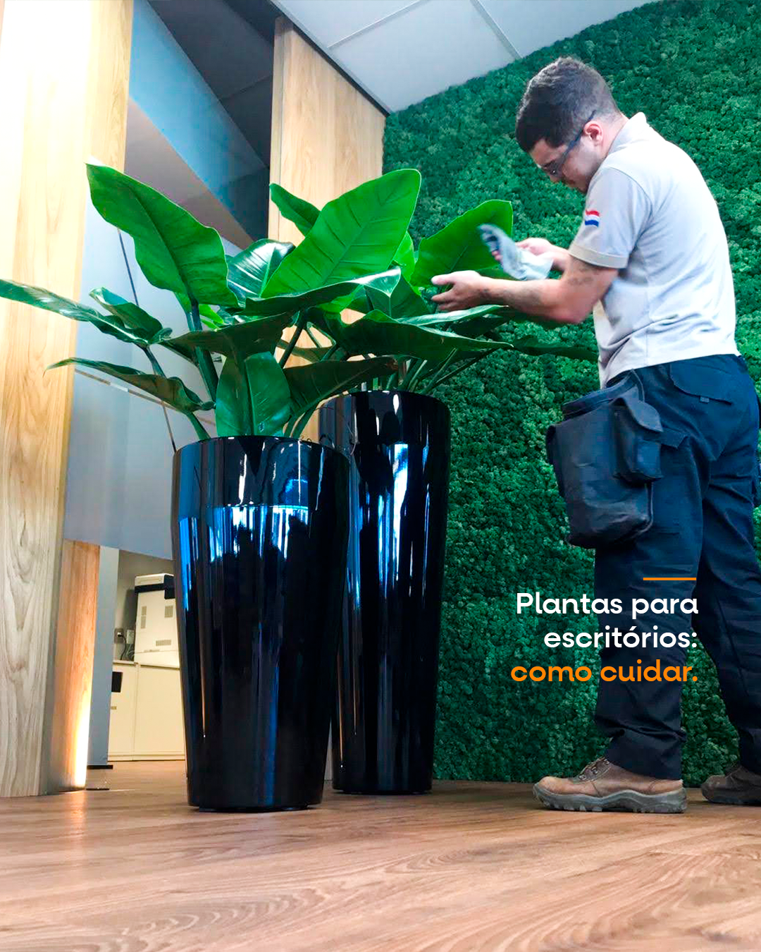 plantas para escritórios modernos