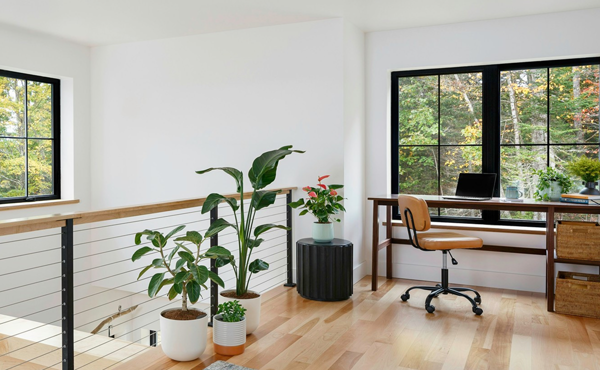 plantas com flores para escritório