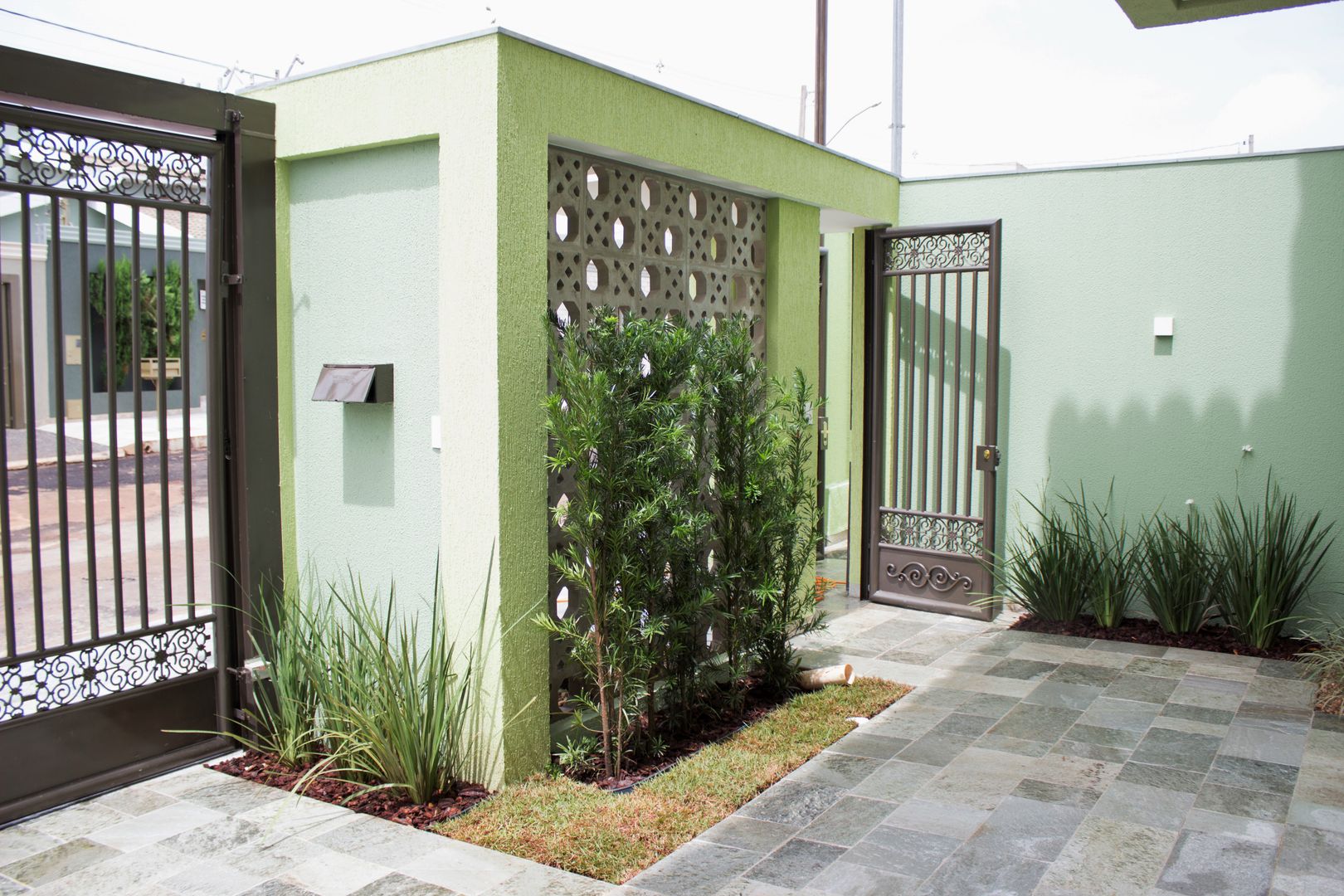 plantas para garagem com pouca luz natural