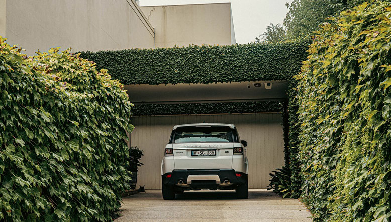 erros comuns ao escolher plantas para garagem