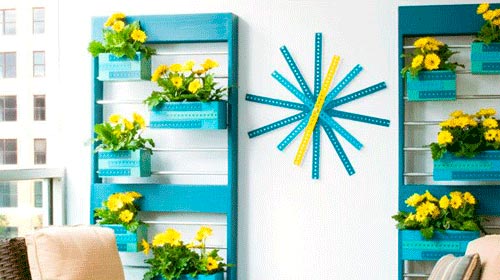 zamioculca vs espada de são jorge para garagem