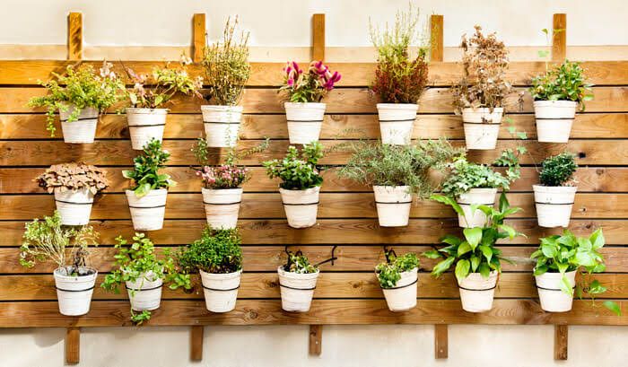 como usar iluminação artificial para plantas de garagem