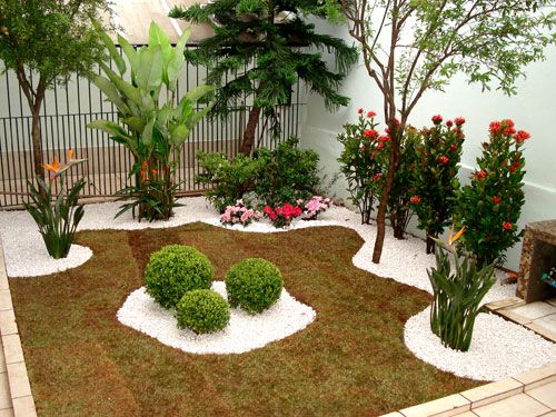 plantas para garagem