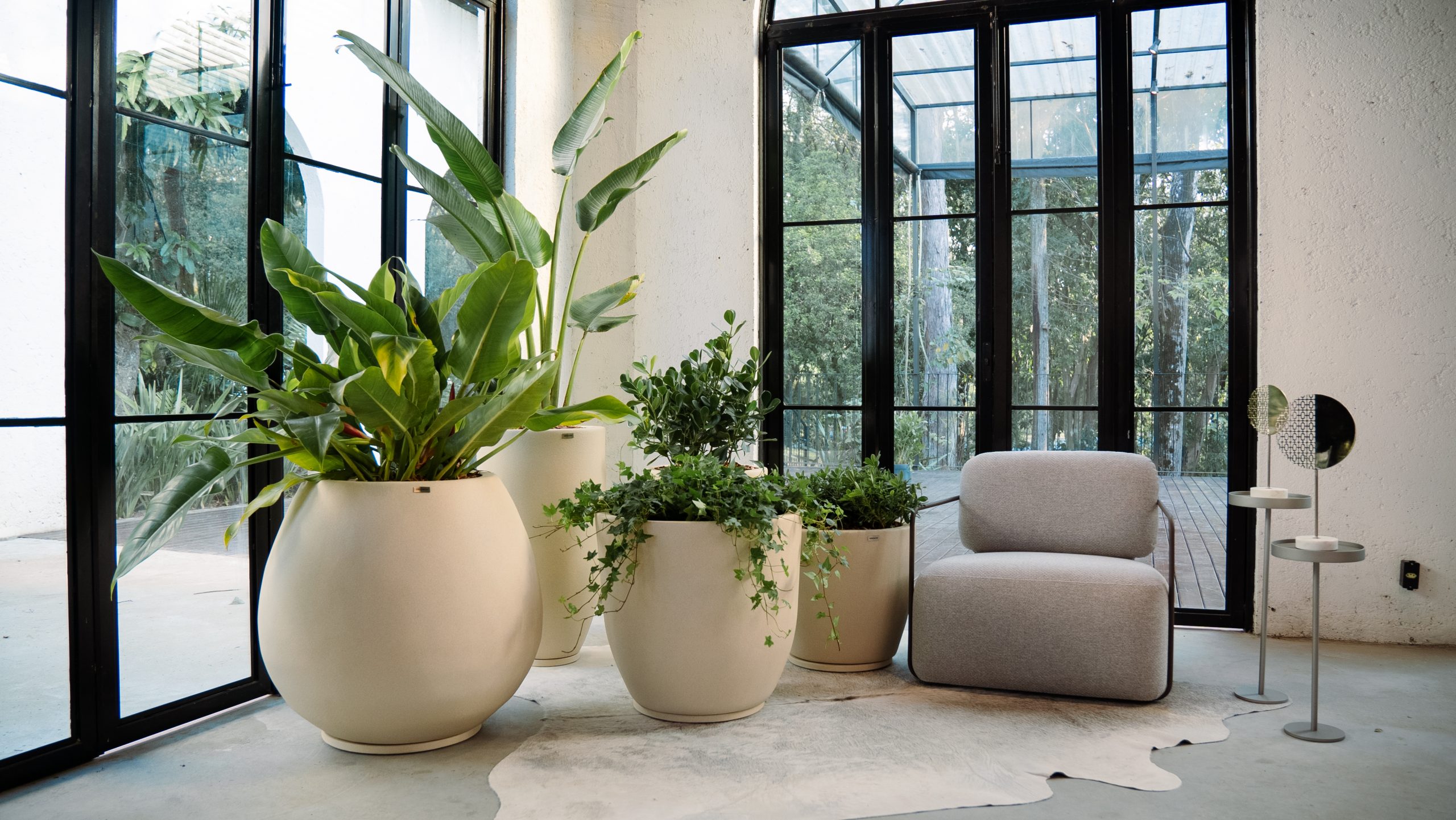 plantas para apartamento