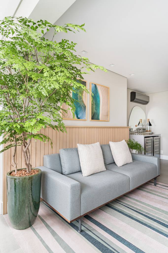 plantas fáceis de cuidar para apartamento