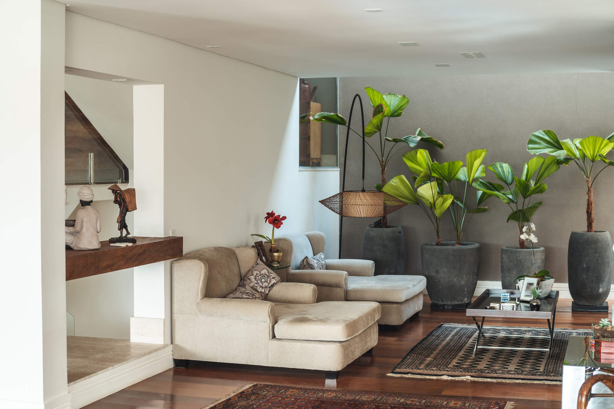 plantas para apartamento com animais de estimação