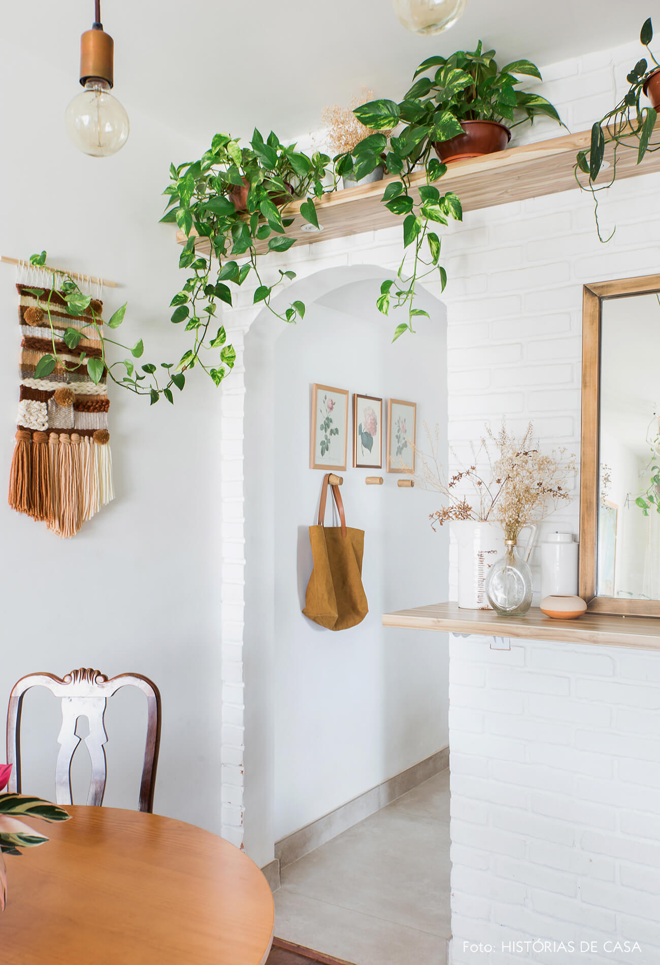 plantas tropicais para sala