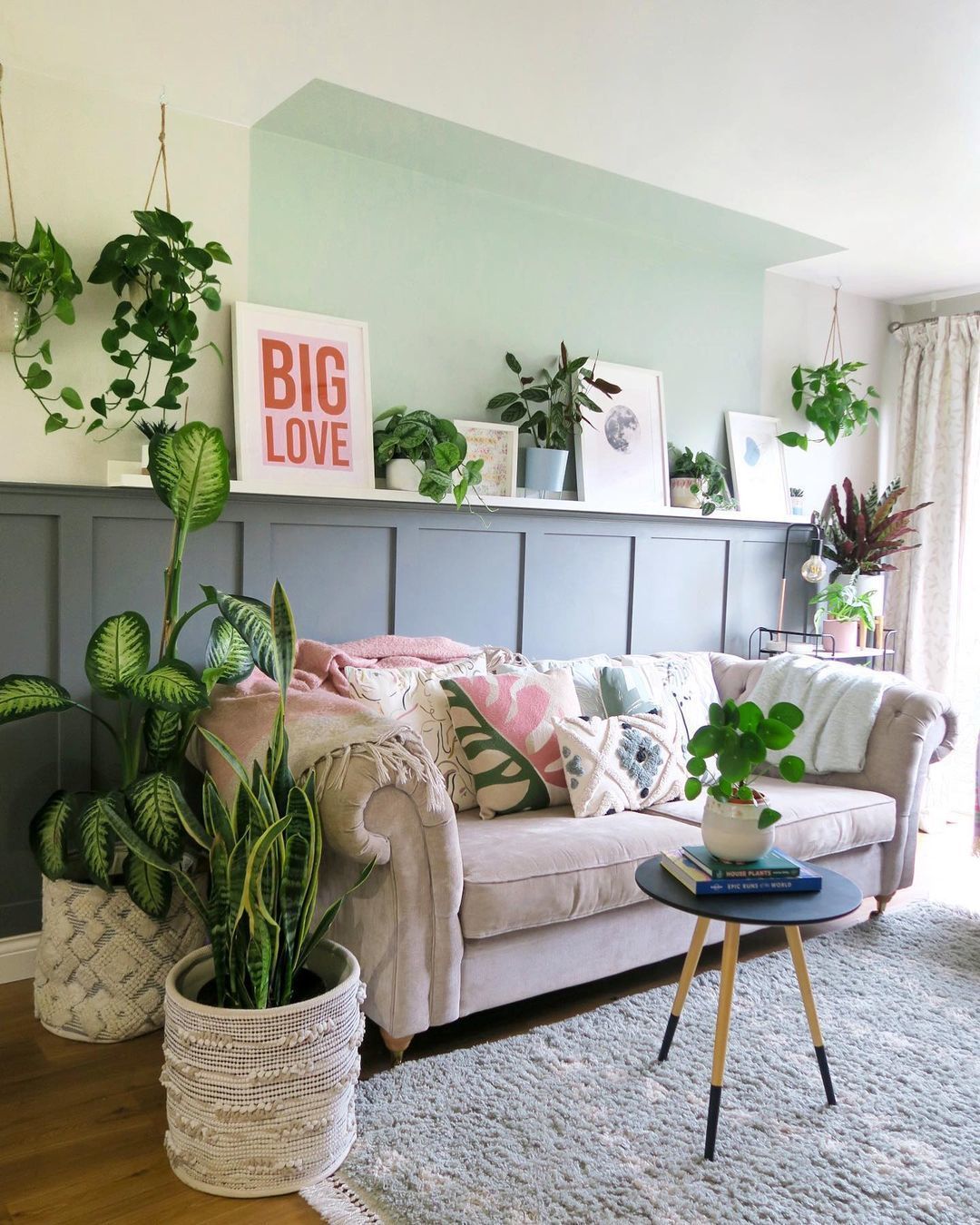 plantas com pouca rega para apartamento