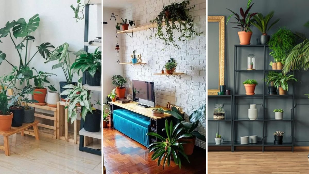 plantas de designer para interiores