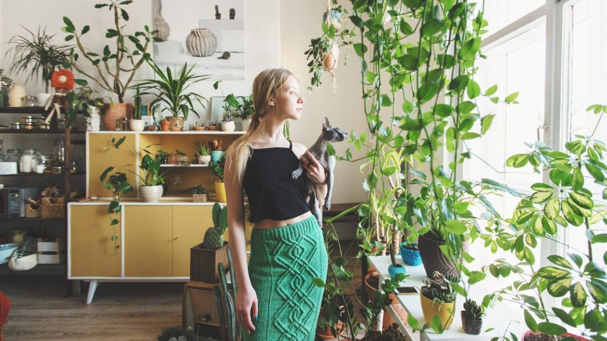 plantas fáceis de cuidar para apartamento
