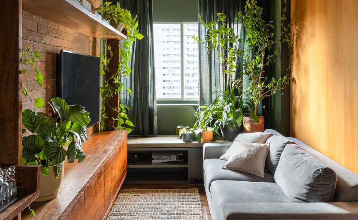 plantas que purificam o ar para sala