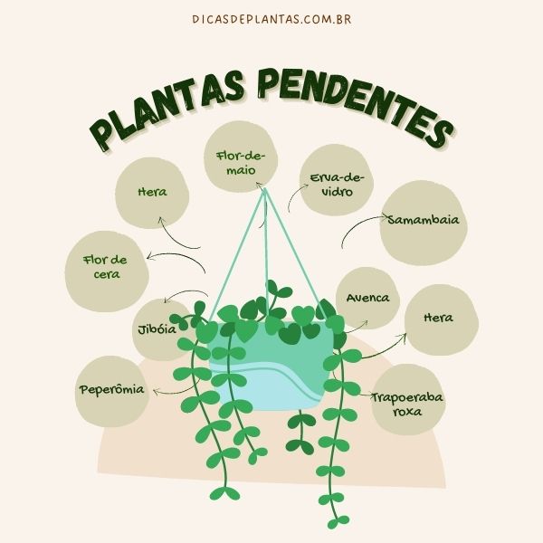 quanto custa ter plantas em casa