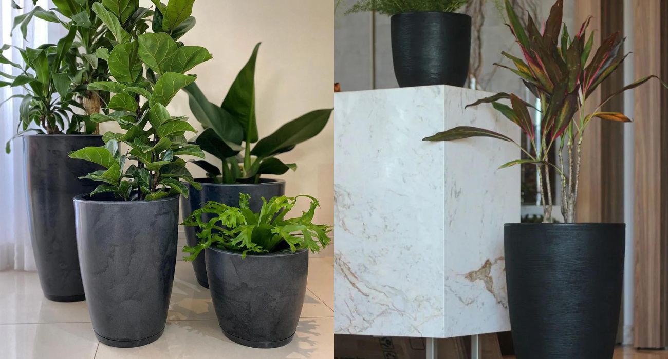 plantas para vasos resistentes