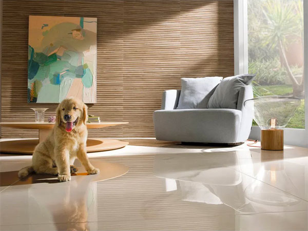 Guia Completo: Como Escolher o Porcelanato Ideal para Cada Ambiente da Sua Casa