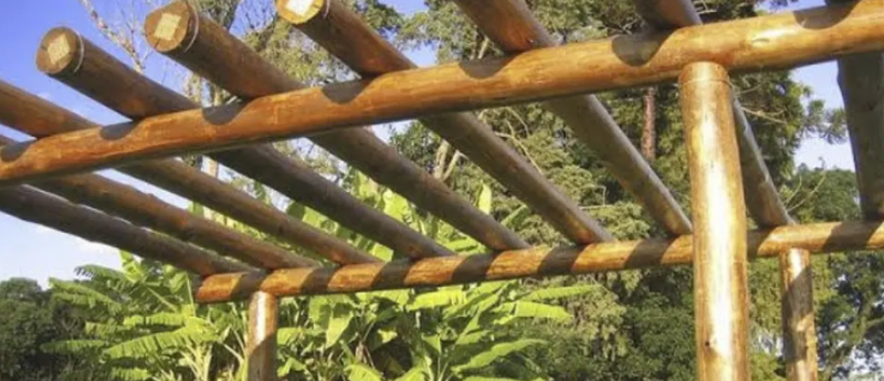 Pergolado de eucalipto tratado Leroy Merlin